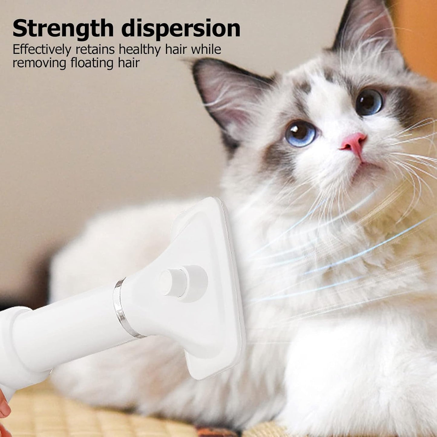 2-In-1 Low Noise Dog Dryer