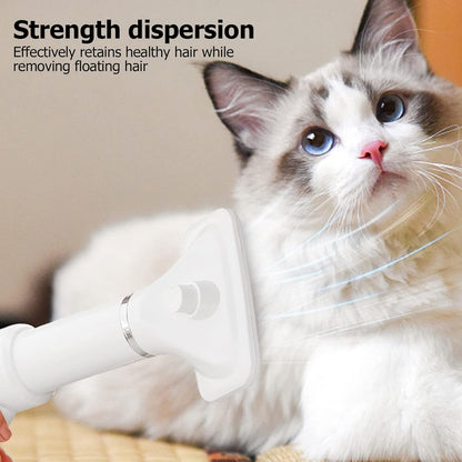 2-In-1 Low Noise Dog Dryer
