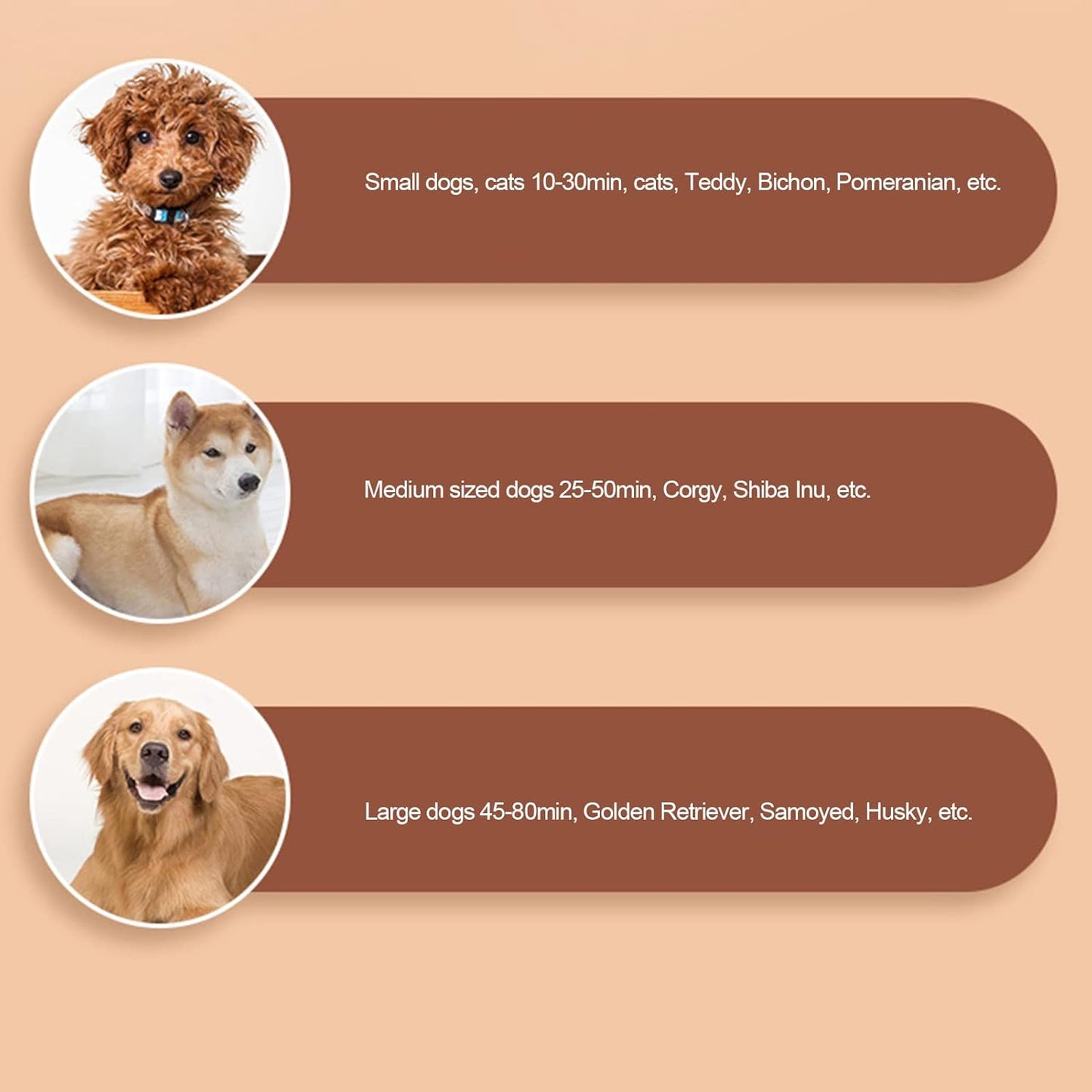 2-In-1 Low Noise Dog Dryer