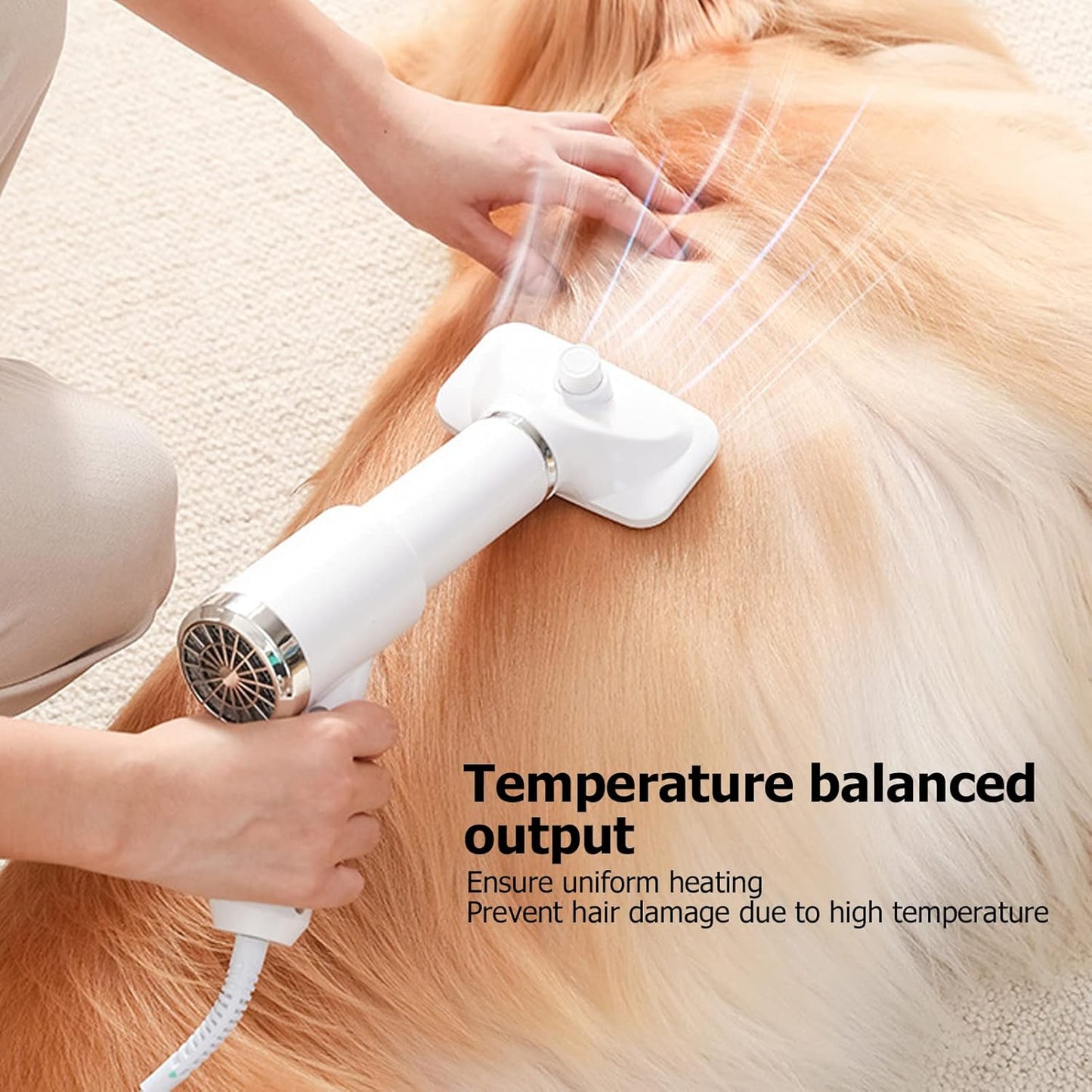 2-In-1 Low Noise Dog Dryer
