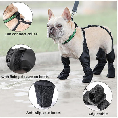 PawSafe Boots